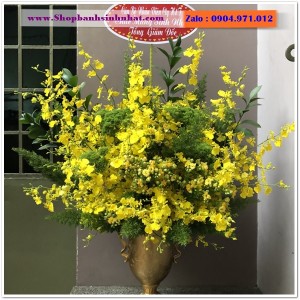 Hoa Tươi Tặng Khai Trương - OK05